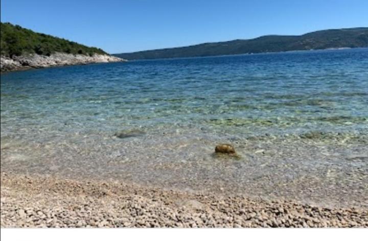 Matea Apartman Plomin
